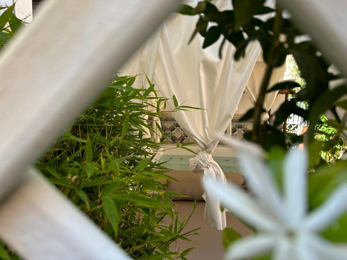 Domus Socolatae Residenza D'Epoca Charming B&B - Adults Only 福洛尼卡 外观 照片